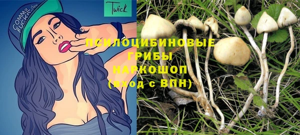 стаф Балахна