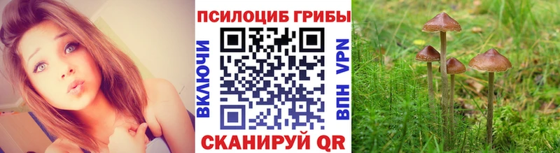 Псилоцибиновые грибы прущие грибы  Горняк 
